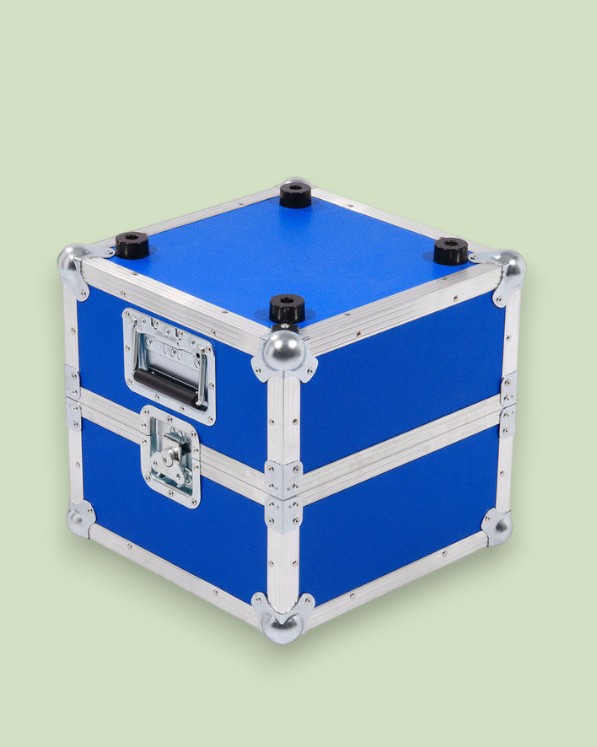 Case for Vinyl Records